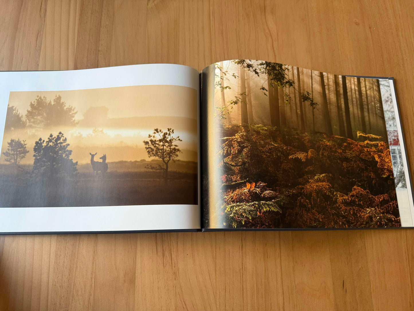 Shotz by Mindy, a hardcover photobook with unique nature and wildlife images.