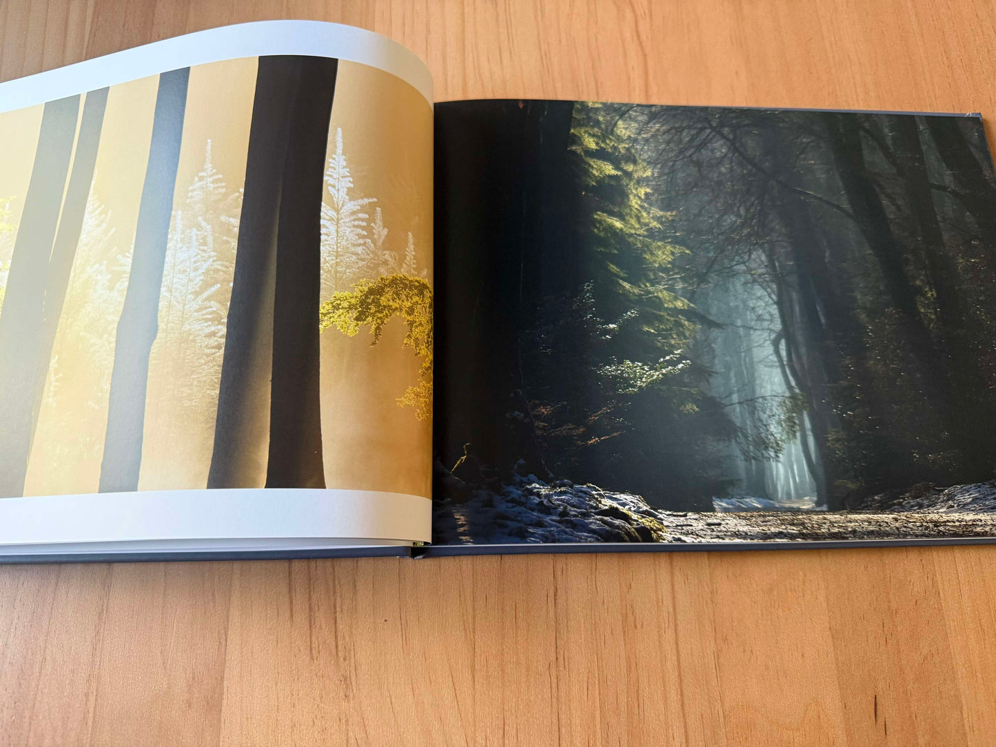 Shotz by Mindy, a hardcover photobook with unique nature and wildlife images.